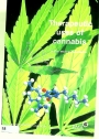 Therapeutic Uses of Cannabis.