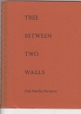 Tree Between Two Walls.