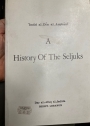 A History of the Seljuks.
