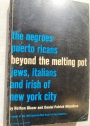 Beyond the Melting Pot: The Negroes, Puerto Ricans, Jews, Italians, and Irish of New York City.
