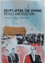 Egypt after the Spring. Revolt and Reaction.