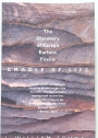 Cradle of Life. The Discovery of Earth's Earliest Fossils.