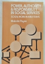 Power, Authority and Responsibility in Social Services. Social Work in Area Teams.