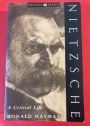 Nietzsche: A Critical Life.