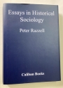 Essays in Historical Sociology.