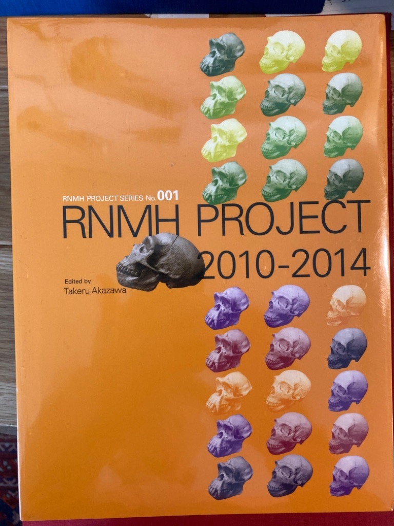RNMH Project 2010 - 2014.