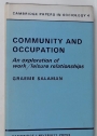 Community and Occupation: Exploration of Work/Leisure Relationships.